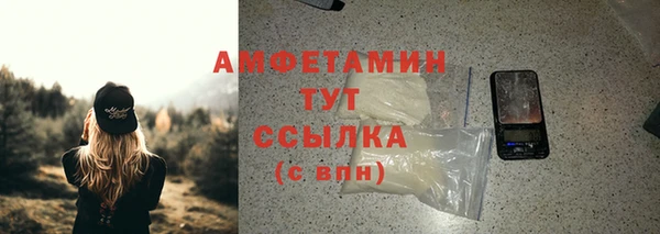 соль ск Ельня