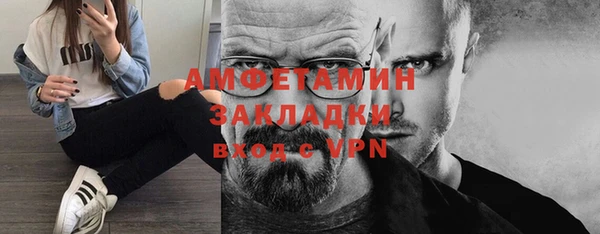 соль ск Ельня