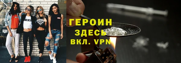 соль ск Ельня