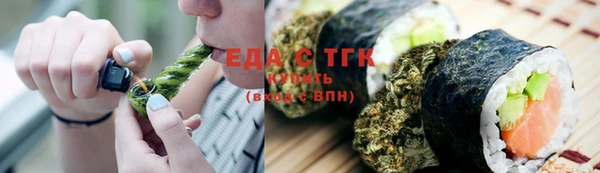 соль ск Ельня