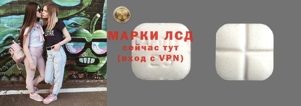 соль ск Ельня