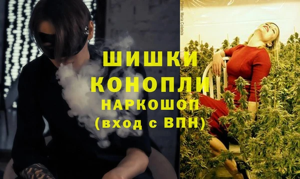 соль ск Ельня