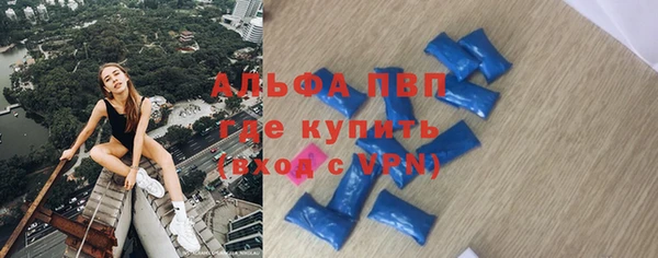 соль ск Ельня