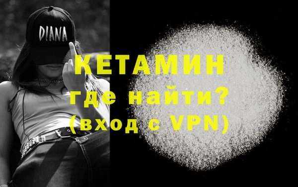 соль ск Ельня