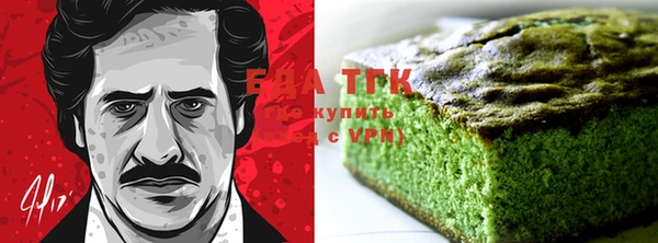 соль ск Ельня