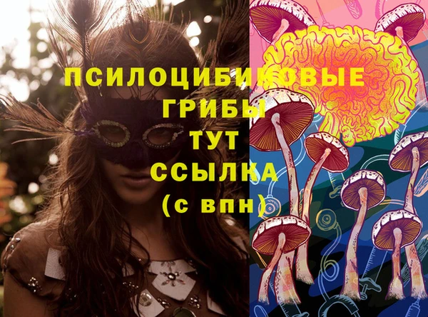 экстази Елабуга