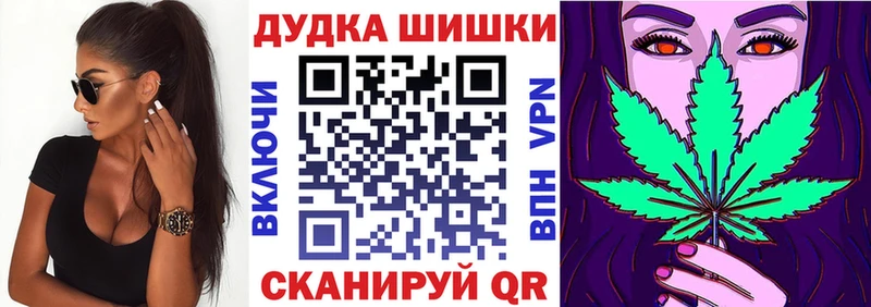 блэк спрут как зайти  Новозыбков  Конопля индика 